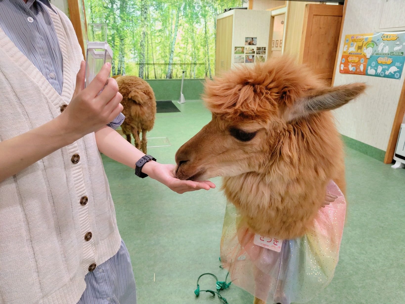 🏞️ 산요 만남 공원(산요 후레아이 코엔) 이미지 8